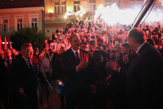 Serbian Progressive Party (SNS) candidate for Prime Minister Aleksandar Vucic attends a pre-election rally in Novi Sad