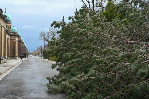 Zagreb: U nevremenu teško oštećeno gradsko groblje Mirogoj