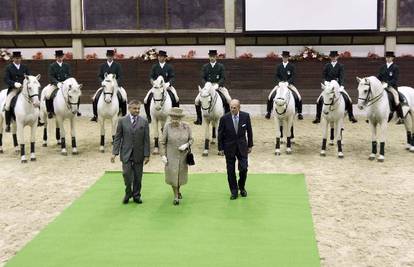 Britanska kraljica postala kuma slovenskom lipicancu