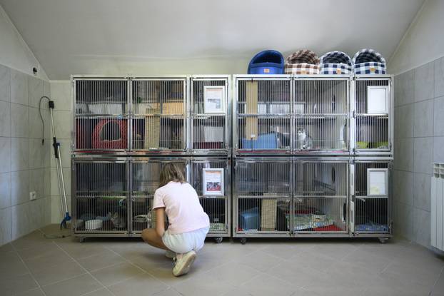 U skloništu Dumovec održan je prvi Dumovečki buvljak na kojem su građani mogli posjetiti sklonište te upoznati pse i mačke