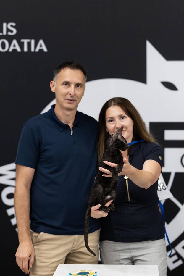 FOTO Velika izložba mačaka u Zagrebu: Predstavljene i jedinstvene modne kreacije