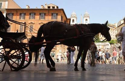 Konjima u Rimu zabranili rad u popodnevnim satima