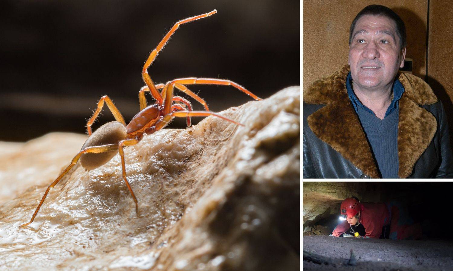 Španjolci htjeli da se misteriozni pauk iz podzemlja Biokova zove Popaj. Ali on je - Mate Parlov!