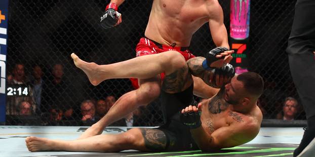 MMA: UFC 300 - Prochazka vs Rakic