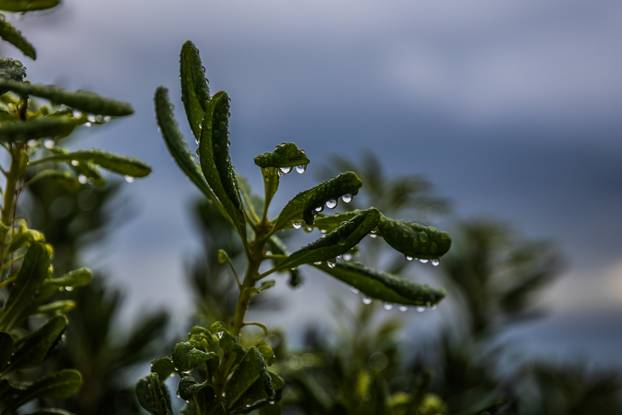 Split: Jesen na plaži Bačvice