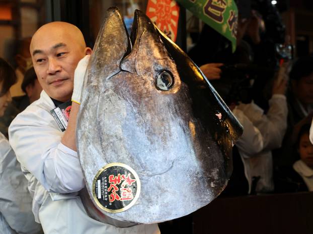 243-kilogram bluefin tuna auctioned for a record 510 million yen ($3.24 million) in Tokyo