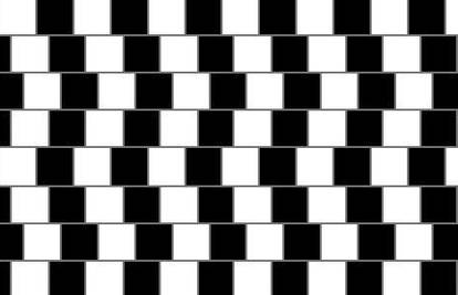 Optičke iluzije pokazuju da naša osjetila nisu idealna