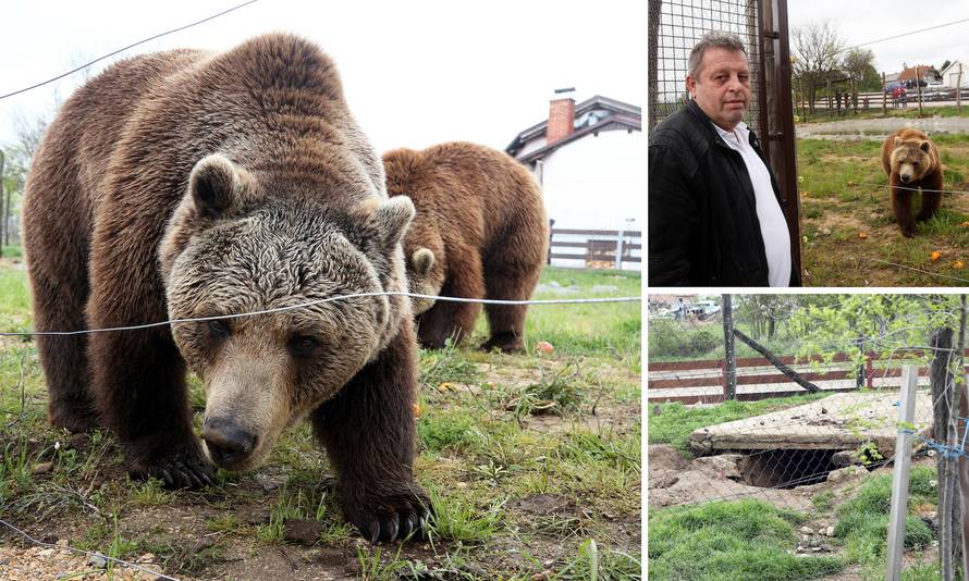 'I kako da se sada rastanem od medvjeda? Pa to su moje bebe'