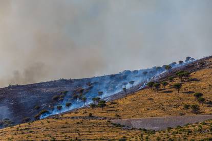 FOTO Vatrogasci će kod Segeta Gornjeg dežurati cijelu noć