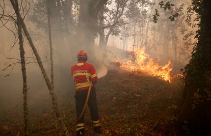 Nezapamćena tragedija: Požar u Portugalu odnio je 62 života