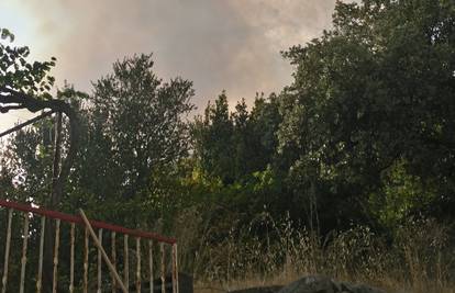 U četvrtak na Hvaru izgorjelo je 12 hektara borove šume