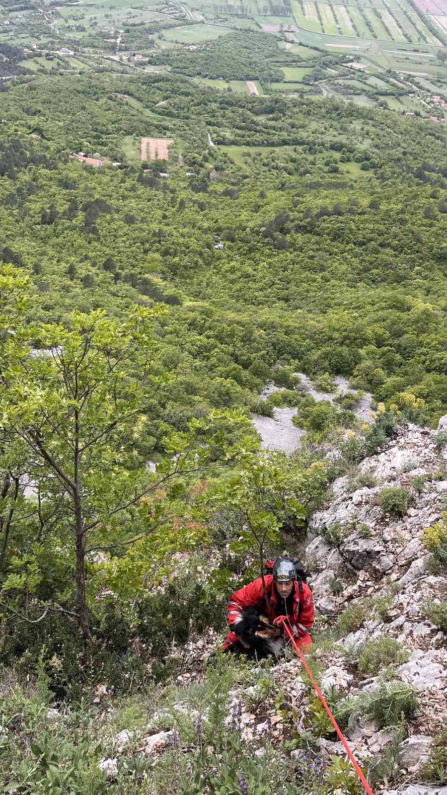 Riječki HGSS u dvodnevnoj akciji spasio psa koji je pao u provaliju u zaleđu Brseča