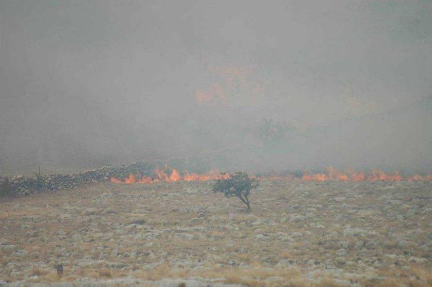 Nove generacije vatrogasaca stižu, ali 13 heroja od kojih se 12 nije vratilo nećemo zaboraviti