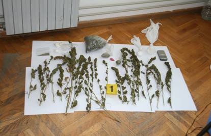 U kući muškarca iz Trogira su našli marihuanu, sjemenke...