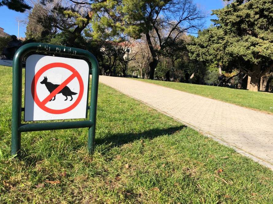 'Pas je skočio na moju kćer (1), udarila je o  beton, u bolnici je'