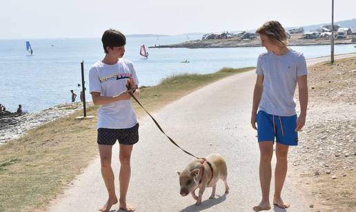 Ona je hit: 'Naša mala svinjica svakome na plaži uljepša dan'