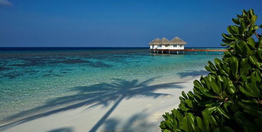 Sponzorirani članak