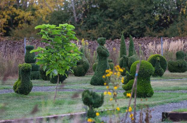 Bajkoviti vrt u srcu Međimurja: Prvi i jedini Topiary park u Hrvatskoj krije se u Sračincu