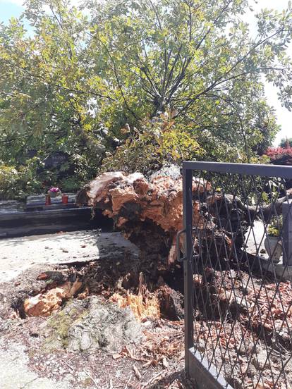 FOTO Pogledajte koliku je štetu napravilo jako nevrijeme u Sisačko-moslavačkoj županiji