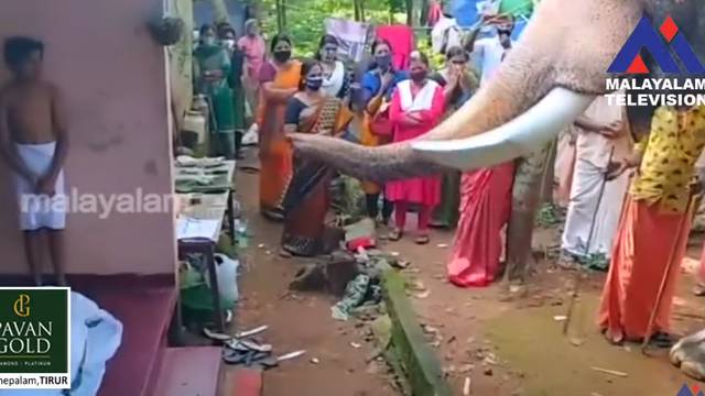 VIDEO Da ti srce pukne: Slon je hodao kilometre da se oprosti od pokojnoga gospodara