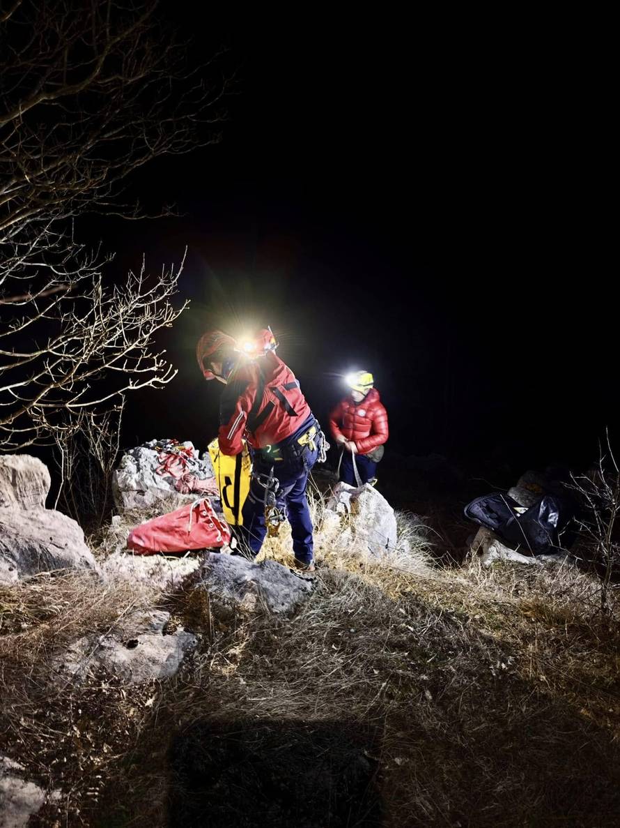 FOTO HGSS spasio lovačkog psa: 'Aris je na sigurnom, ide doma'