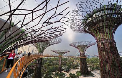 Superdrveća u spektakularnim novim Vrtovima u Singapuru