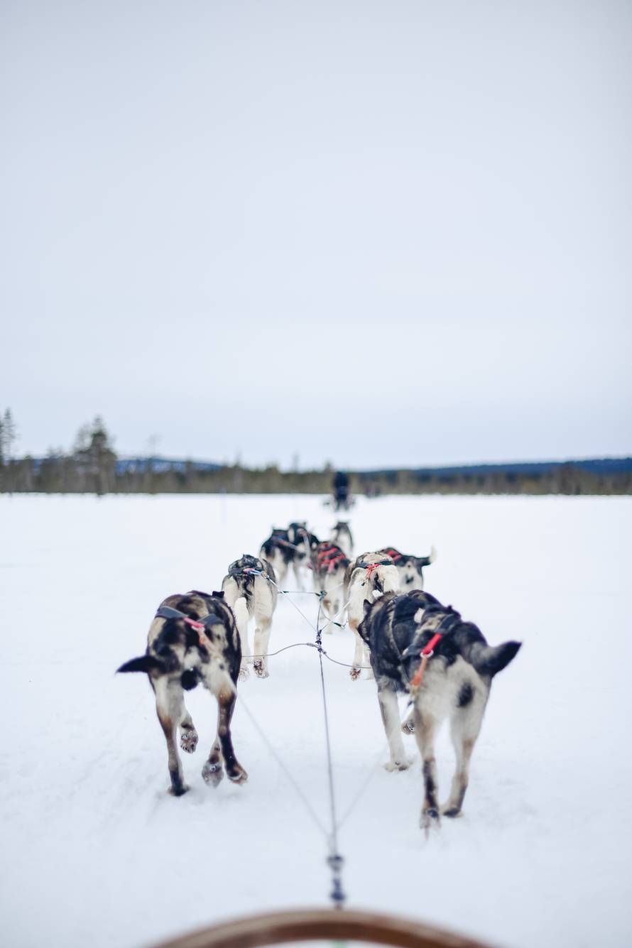 Hana s Raba živi zimsku bajku u Laponiji: 'Na -40 °C mi se lede trepavice, a ja uživam!'