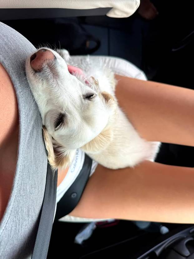 FOTO Dečko i ja učinili smo 'to' na Mount Rushmoreu, bila je to predstava za predsjednike