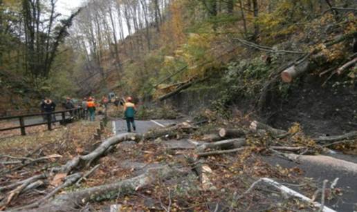 Teodor srušio 5000 stabla na Medvednici: Staze zatvorene  