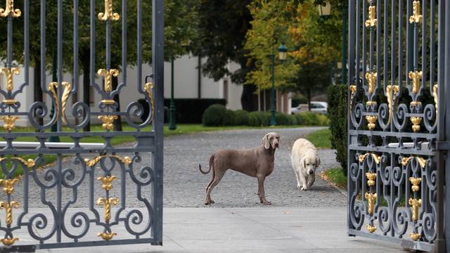 Kulmerovi dvori
