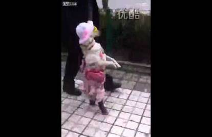 Pas obučen u djevojčicu hodao ulicom samo na stražnjim nogama