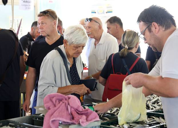 Šibenik: Ponuda ribe na ribarnici