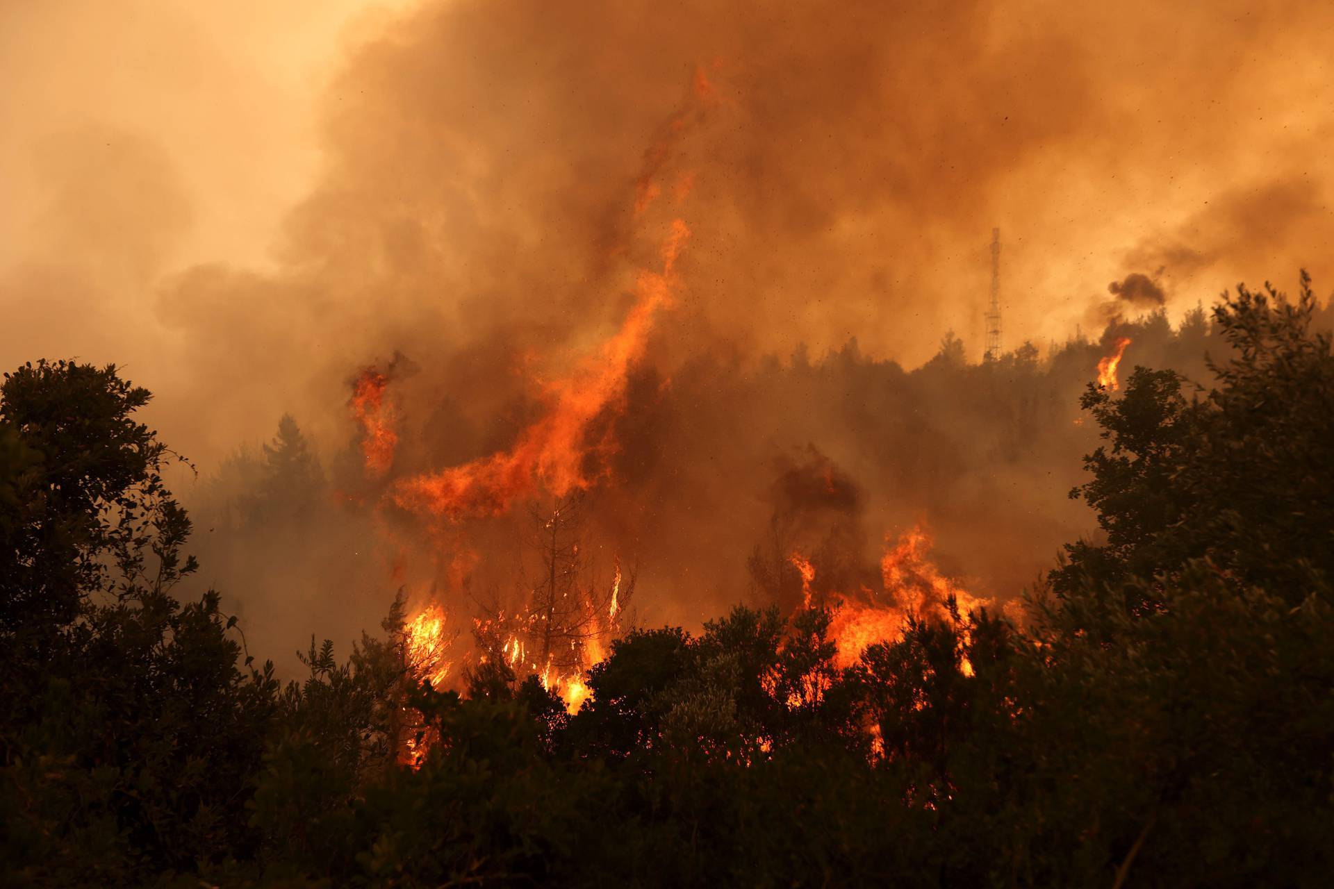 Wildfire on Evia island