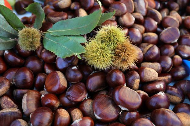 Rijeka: Maruni na rijeckoj trznici po 8 eura