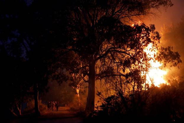 Wildfire erupts on Evia island