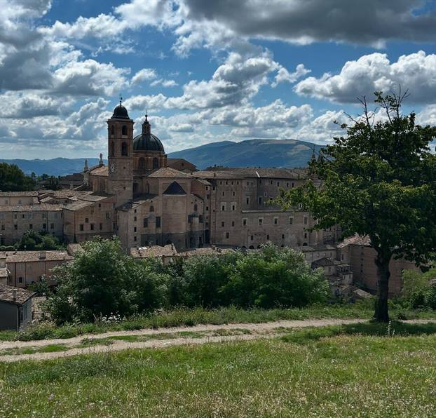 FOTO Zgodna stjuardesa hitno traži muža: Sama sam već 3 godine, želim da bude stariji...