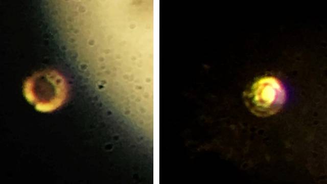 A combination of still photos taken from video shows hydrogen magnified at different stages of compression, from gas form to metallic