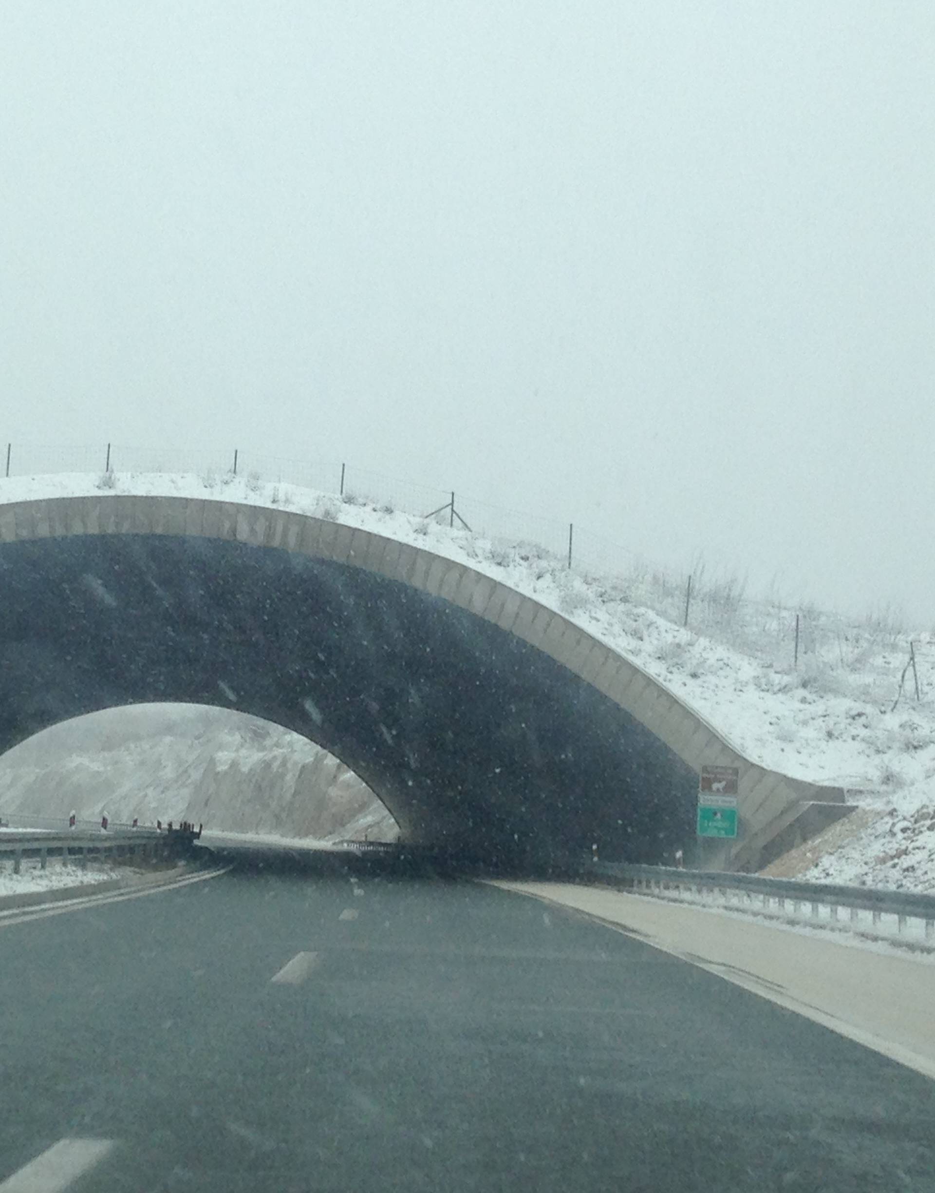 Na A1 sniježi sve do Makarske:  Srušena stabla, zaleđene ceste
