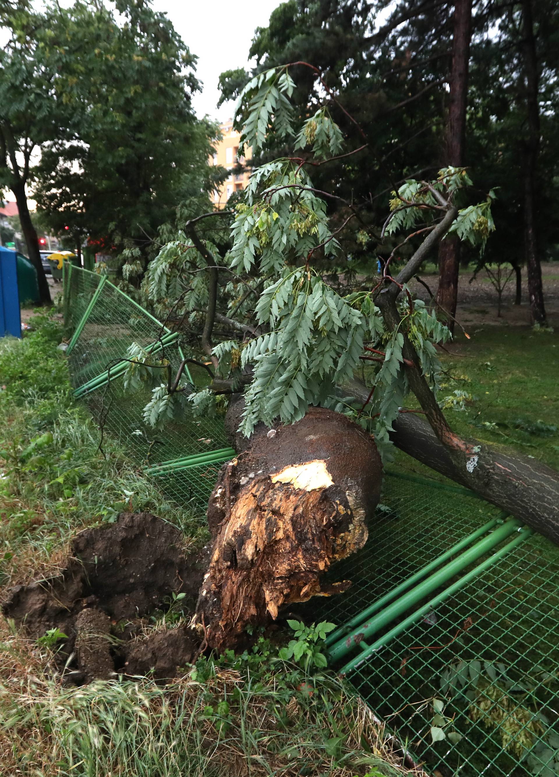 Nevrijeme poharalo Zagreb: "Nosilo je sve pred sobom!"