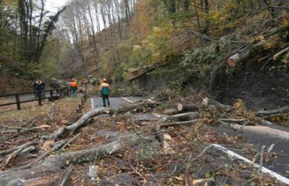 Teodor srušio 5000 stabla na Medvednici: Staze zatvorene  