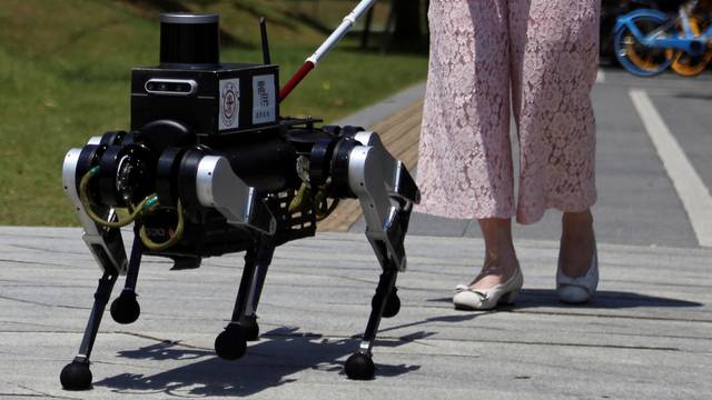 Six-legged robot "guide dog" in Shanghai