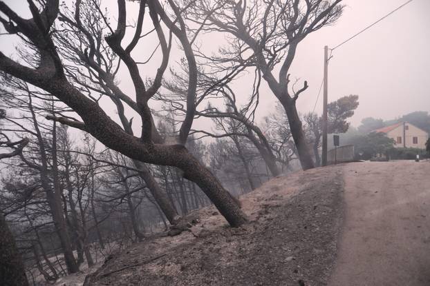 Tučepi: Posljedice katastrofalnog požara 