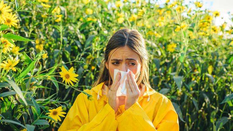 Sezona alergija: Kako ublažiti kihanje, svrbež i začepljen nos