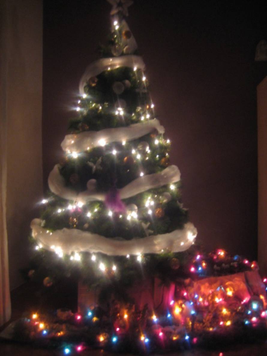 Šaljite fotografije božićnih jelki i osvojite vrijednu nagradu...