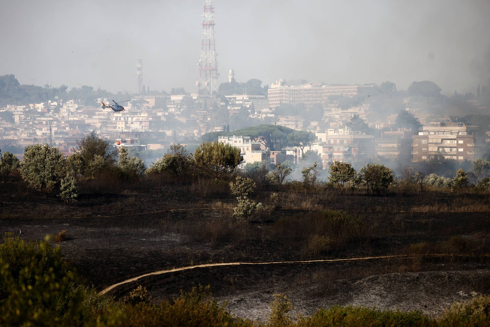 Forest fire burns in north Rome