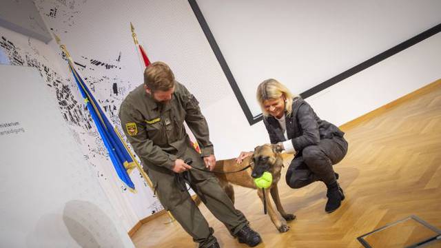 U austrijskim zračnim lukama psi kontroliraju tko ima koronu