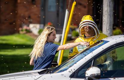 Zzzeznuta situacija! Pet milijuna pčela palo u Kanadi s kamiona, mahnito letjele među vozačima