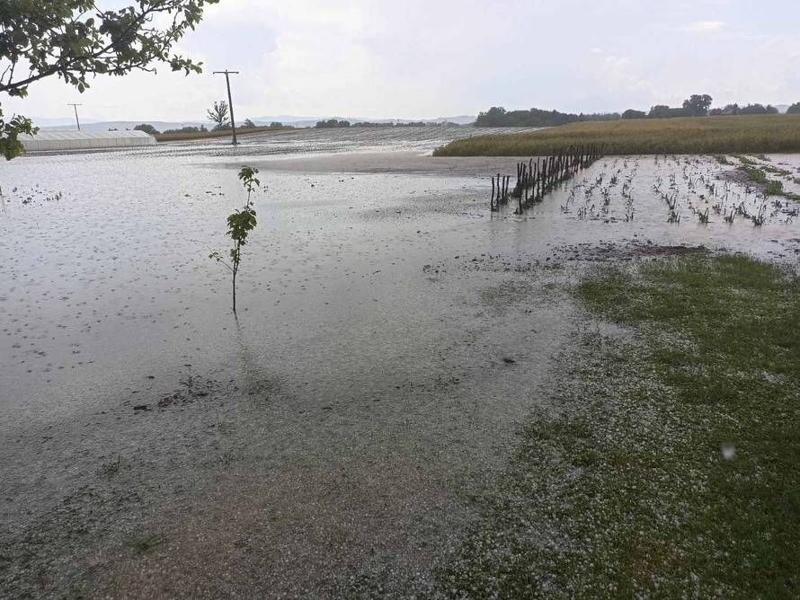 VIDEO Tuča je poharala dijelove Hrvatske: 'Led je uništio povrće, kukuruz, pšenicu. Velika šteta'