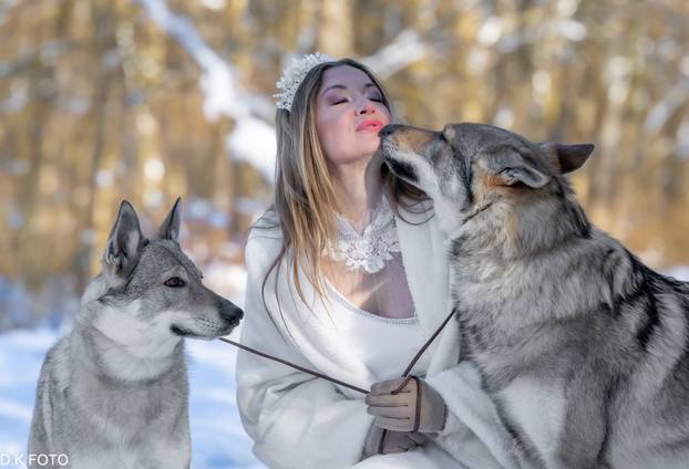 GALERIJA Nastali su od vukova, rođaci su Nazgula s Olimpijskih igara i žive kraj Velike Gorice!