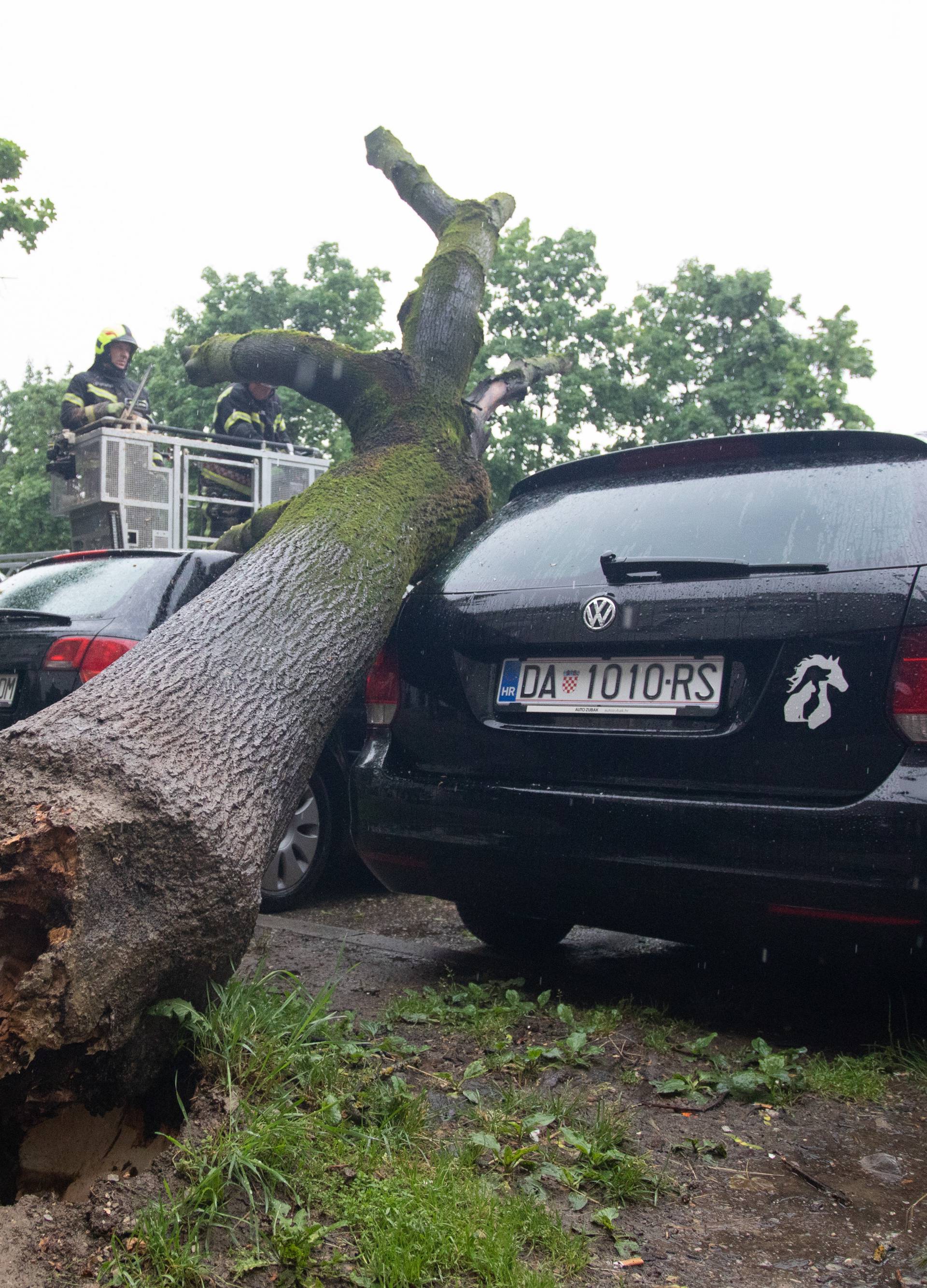 Drvo u Zagrebu palo na aute: 'Užas, samo je počelo pucati'